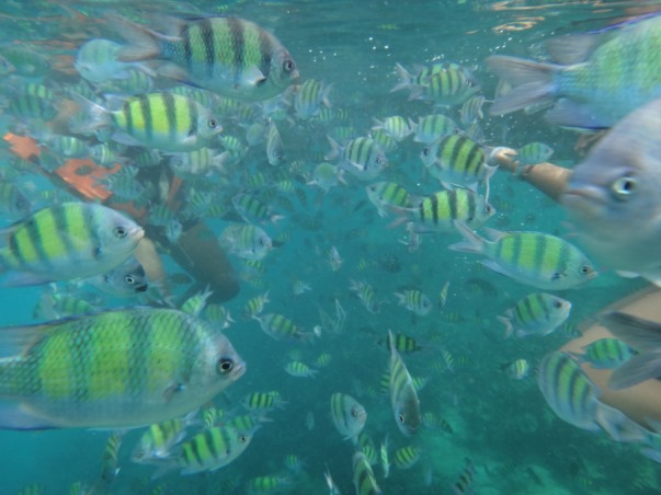 Nigerian Honeymoon Destination Thailand Naija Nomads LoveweddingsNG - snorkelling